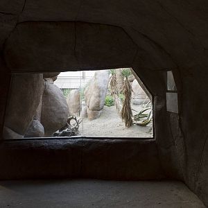 Burrowing owl and roadrunner exhibit, 8/15/14