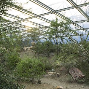 Sunset in Burgers Desert, 8/15/14