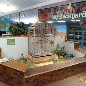 Children's Zoo - Discovery Center