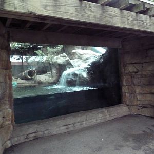 Children's Zoo - North American River Otter Exhibit