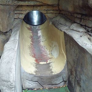 Children's Zoo - River Otter Exhibit Slide