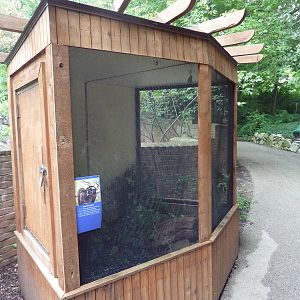 Children's Zoo - Boa Constrictor Exhibit