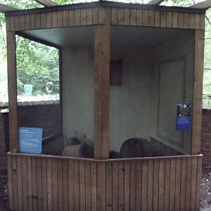 Children's Zoo - Virginia Opossum Exhibit
