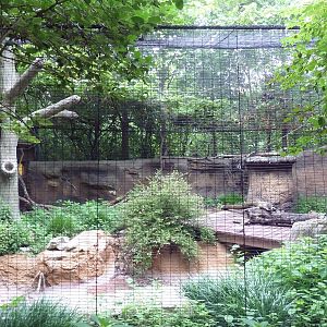 Children's Zoo - Lemur Lookout