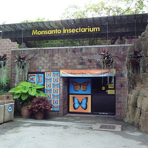 Insectarium (64 Species + a Butterfly Dome)