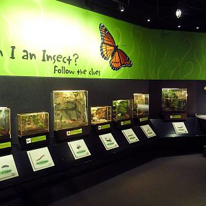 Insectarium