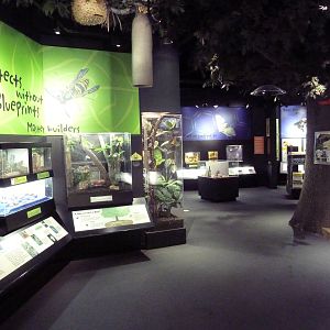 Insectarium