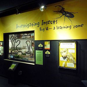 Insectarium