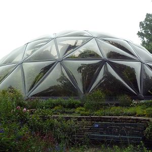 Insectarium - Butterfly Dome