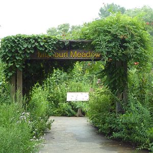 Insectarium - Outdoor Nature Walk