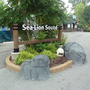 Sea Lion Sound - New in 2012