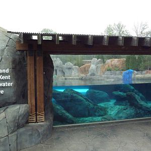 Sea Lion Sound - New in 2012