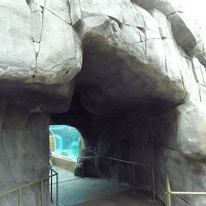 Sea Lion Sound (Pathway to Acrylic Tunnel) - New in 2012