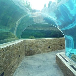 Sea Lion Sound - New in 2012