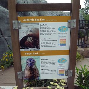 Sea Lion Sound - New in 2012