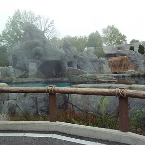 Sea Lion Sound - New in 2012