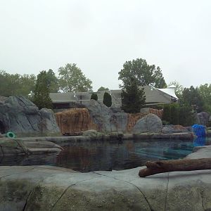 Sea Lion Sound - New in 2012