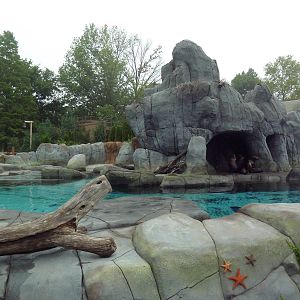 Sea Lion Sound - New in 2012