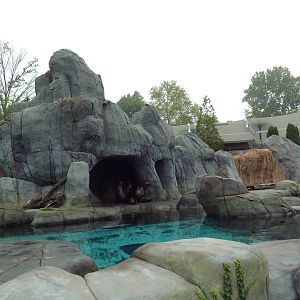 Sea Lion Sound - New in 2012