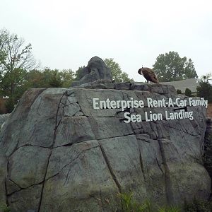 Sea Lion Sound - New in 2012