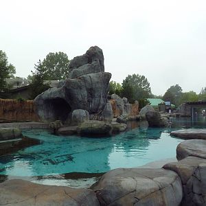 Sea Lion Sound - New in 2012