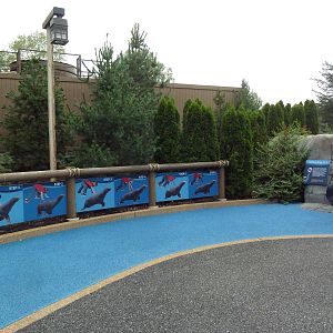 Sea Lion Sound - New in 2012