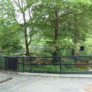Alligator Snapping Turtle Exhibit