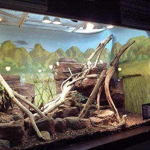 1927 Reptile House - Jamaican Boa Exhibit