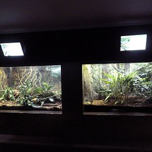 1927 Reptile House - Various Terrariums