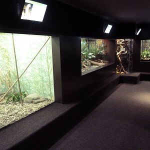 1927 Reptile House - Assorted Terrariums