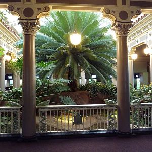 1927 Reptile House - Rare Turtle Pools