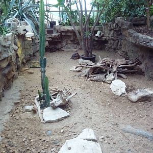 1927 Reptile House - Red-Footed Tortoise Exhibit
