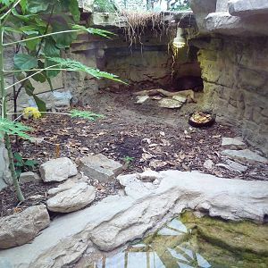 1927 Reptile House - Yellow-Footed Tortoise Exhibit