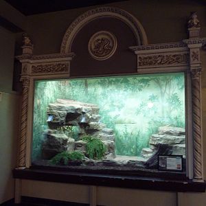 1927 Reptile House - Reticulated Python Exhibit