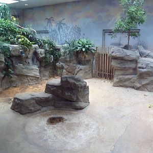 1927 Reptile House - Galapagos Tortoise/Aldabra Tortoise Indoor Exhibit