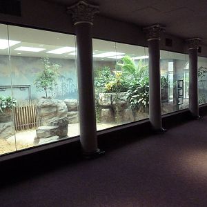 1927 Reptile House - Tomistoma Exhibits (2) and Giant Tortoise Exhibit
