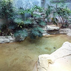 1927 Reptile House - Tomistoma Exhibit