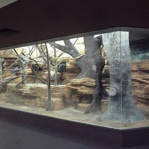 1929 Primate House - Guereza Colobus Monkey Exhibit