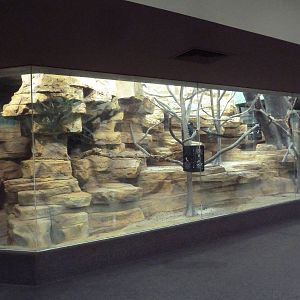 1929 Primate House - Guereza Colobus Monkey Exhibit