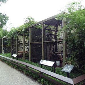 1929 Primate House - Outdoor Exhibits (various lemurs + sifakas)