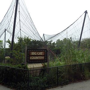 Big Cat Country - Mesh Exhibits