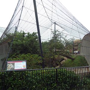 Big Cat Country - Snow Leopard Exhibit