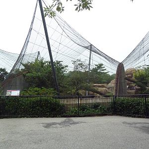 Big Cat Country - Snow Leopard + Cougar Exhibits