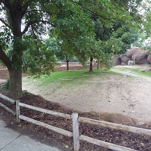 Red Rocks - Grevy's Zebra Exhibit #2