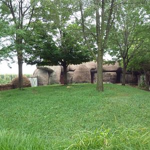 Red Rocks - Okapi Exhibit
