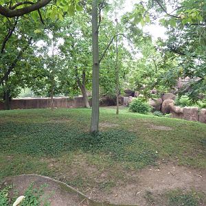 Red Rocks - Red Kangaroo + Tammar Wallaby Exhibit