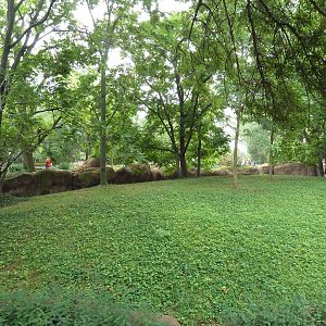 Red Rocks - Red Kangaroo + Tammar Wallaby Exhibit