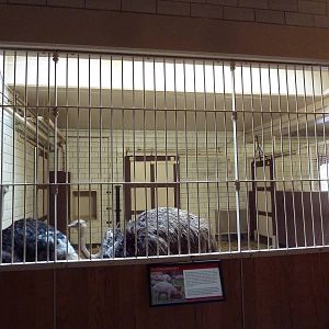 Red Rocks - Ostrich Stall