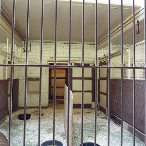 Red Rocks - Speke's Gazelle Stalls