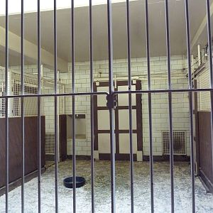 Red Rocks - Soemmerring's Gazelle Stall